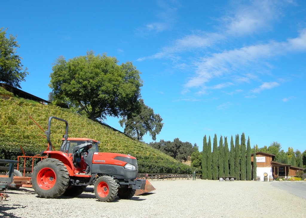 Near Blackjack Vineyard by Martin Pazzani