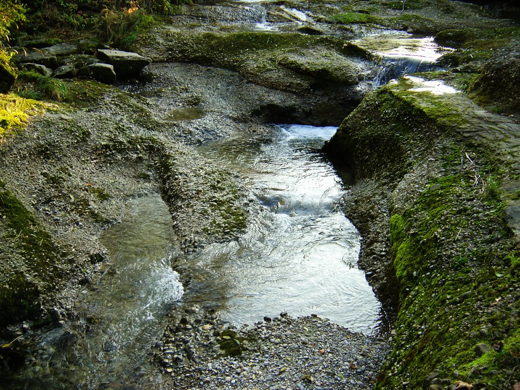 Flussbett der Murg bei Wiezikon by Hans Witzig