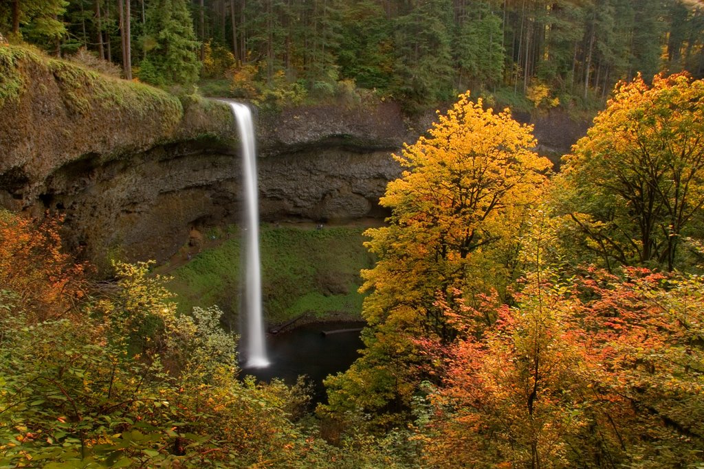 South Falls, Silver Falls State Park by tblackburn