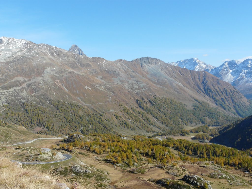 Scendendo dal Passo Bernina by © Gilberto P.