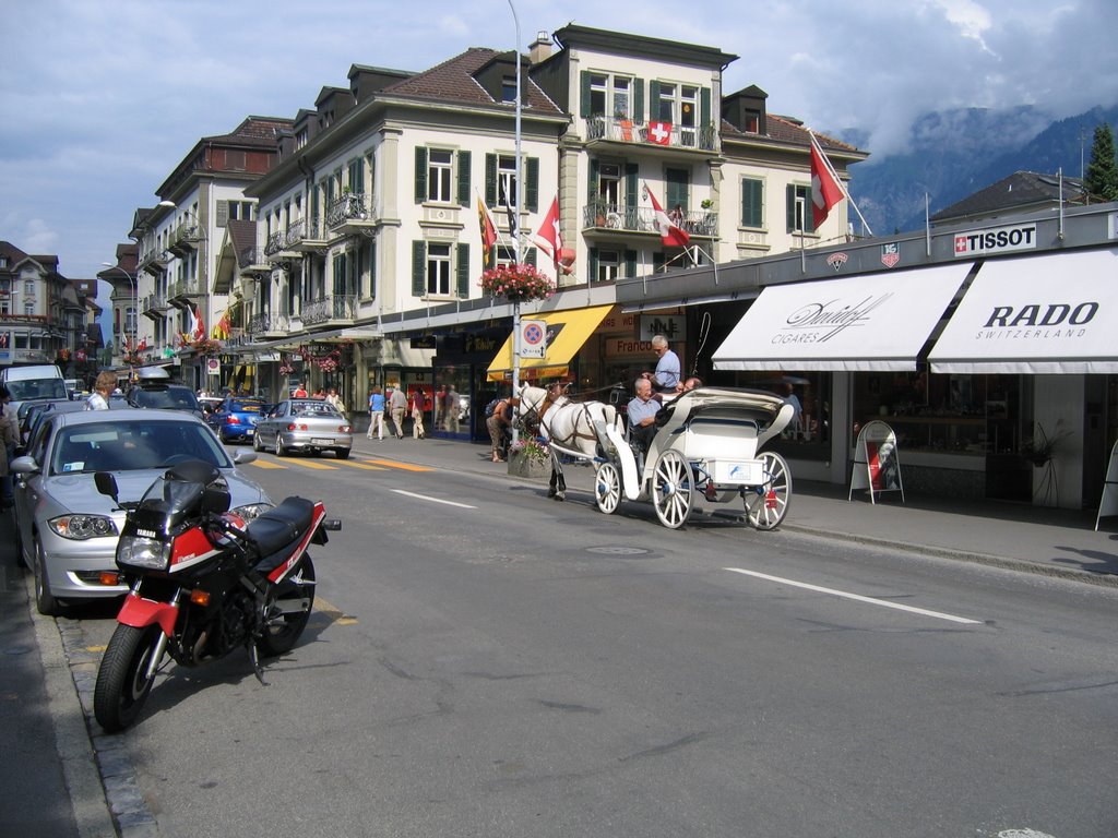 Interlaken, August 2008 by Sergey Larin