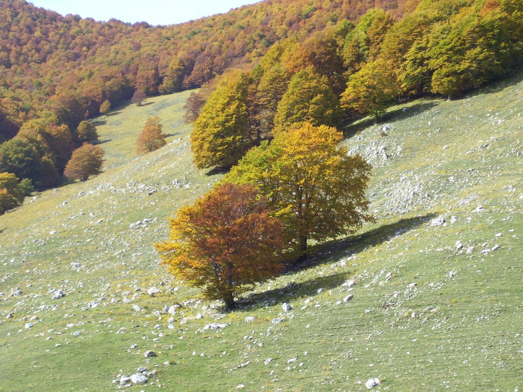 Abruzzo - autunno by maxfazio