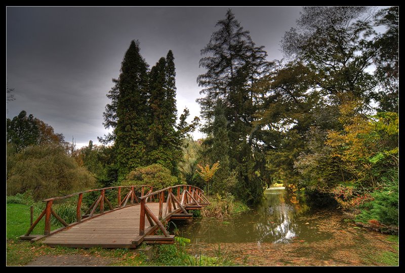 Bridge III. by Eduardo Balogh