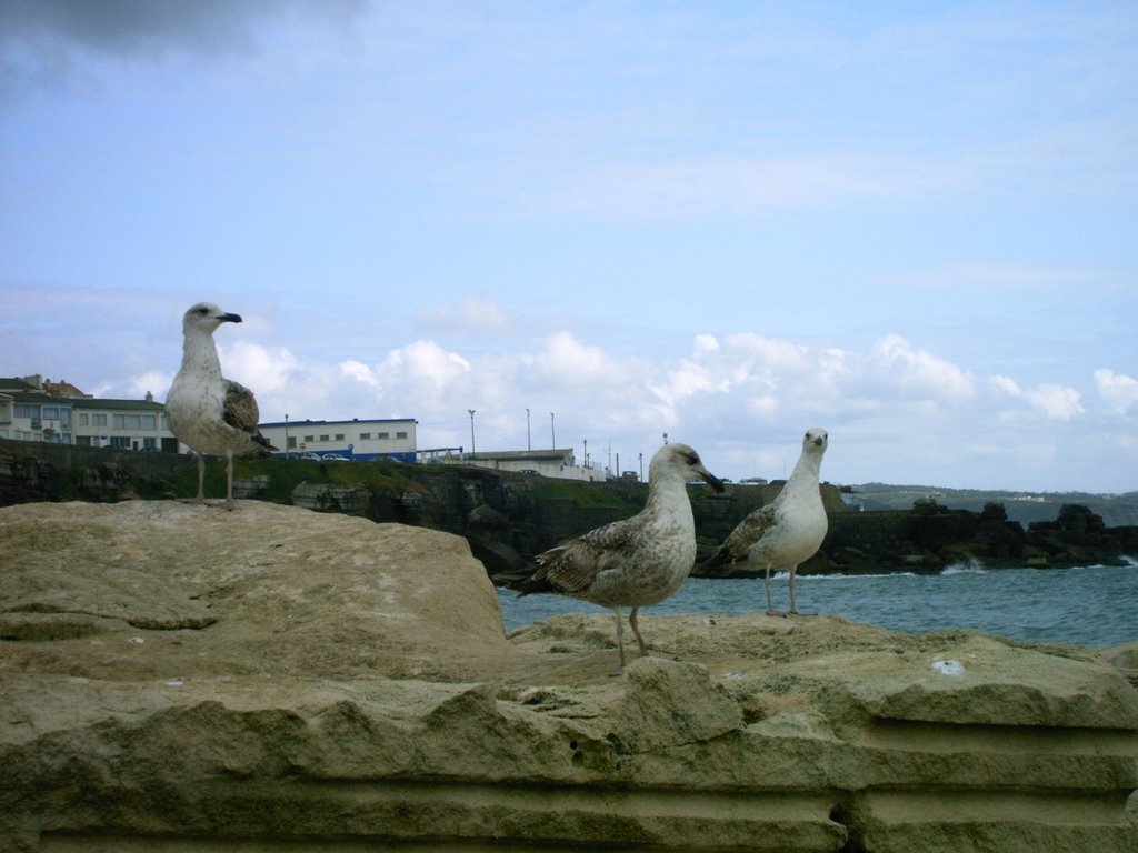 Ericeira ... Sempre!!! by Pconde