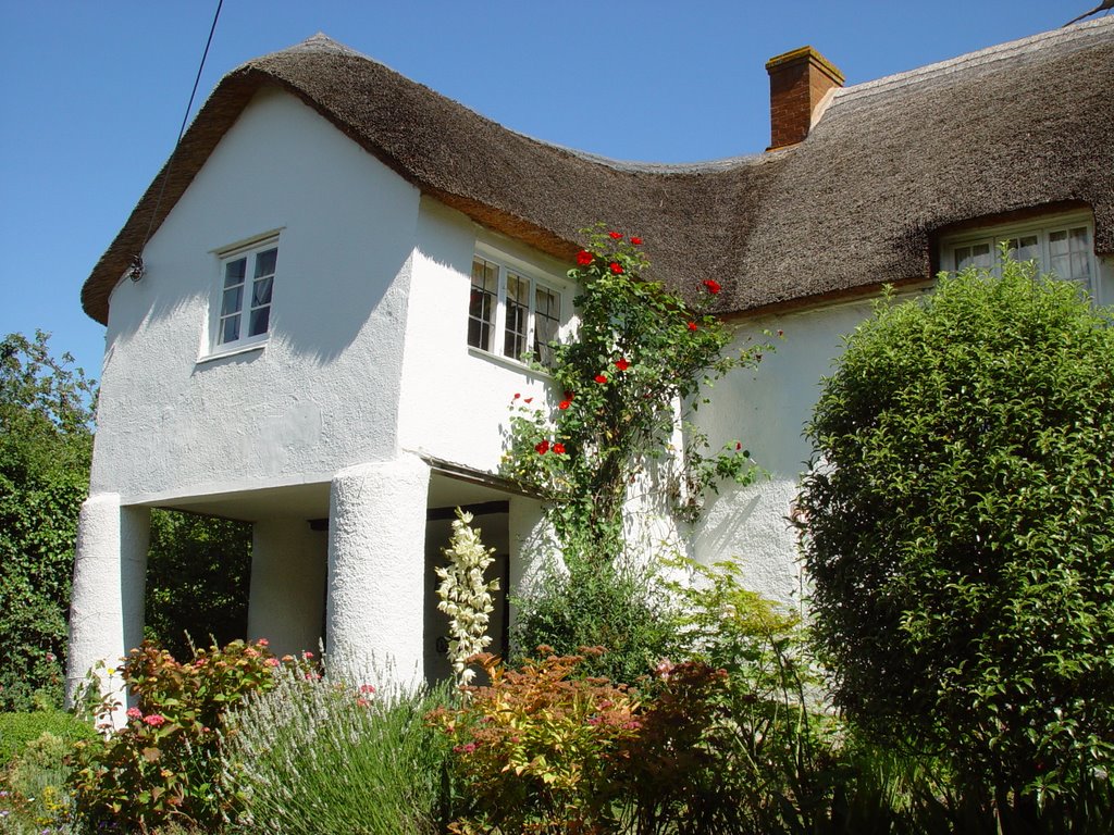 Thatch in Old Cleeve by James Greig