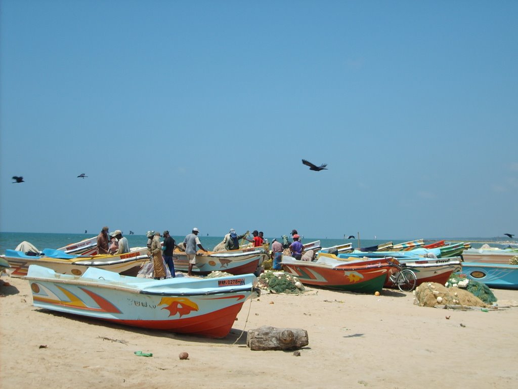 Fishermen bringing in the day's catch, Nr Negombo, Feb 07 by sarahjwilson