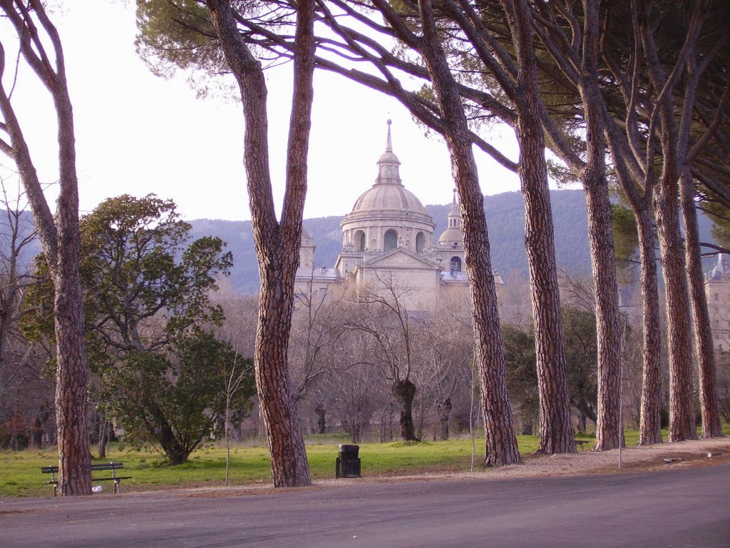 Entre pinos.Monasterio de San Lorenzo del Escorial by Jazz56