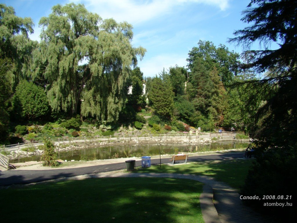 The pond in Edward Garden by atomboy