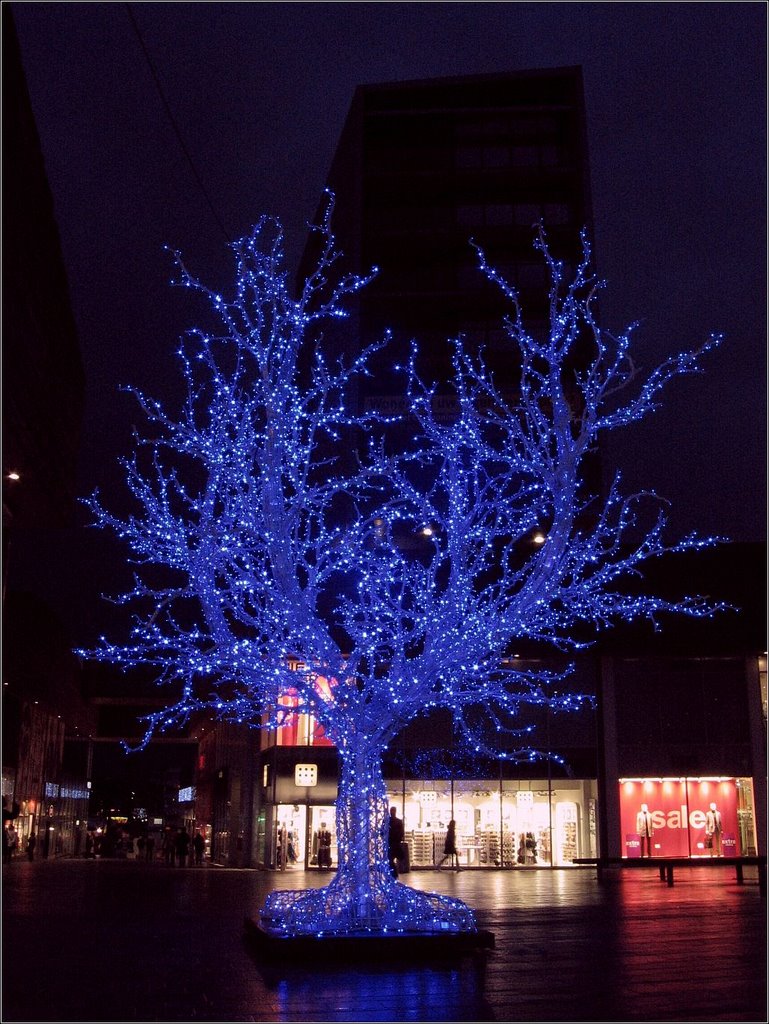 Kerstsfeer in Almere-Stad by Uschi Priem-Blank