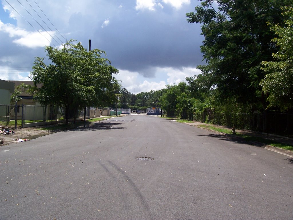 Unmarked road en Carolina (South) by Laserion