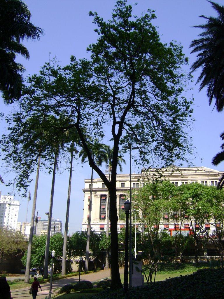 Praça Ramos de Azevedo by João Fleury