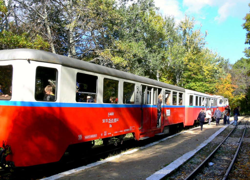 Children's railway, Jánoshegy by Lohn Agoston