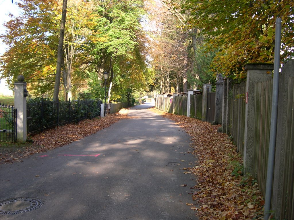 Eduard-Thöny-Straße in Utting am Ammersee by DigiAndi