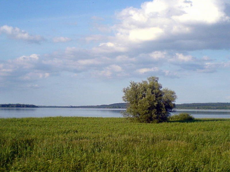 Malchiner See by © René Regell