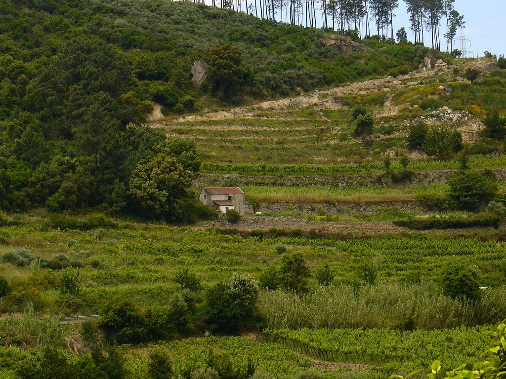 Vista Alegre by macortez