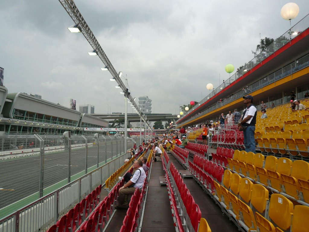 Singapore F1 Grand Prix 2008 by njellis