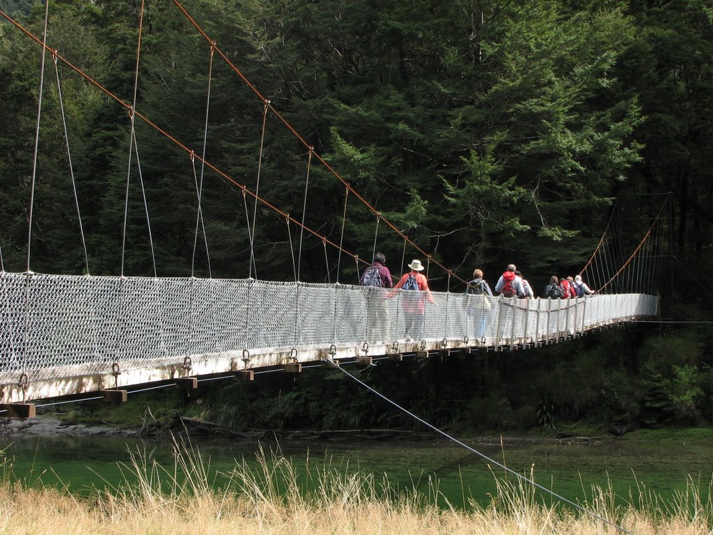 Milford Track, Clinton River suspension bridge, Fiordland National Park, NZ -03-07 by Fernando Moura Macha…