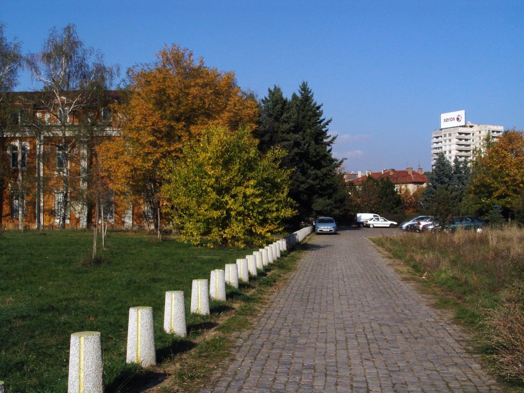 Autumn in Sofia by Marty