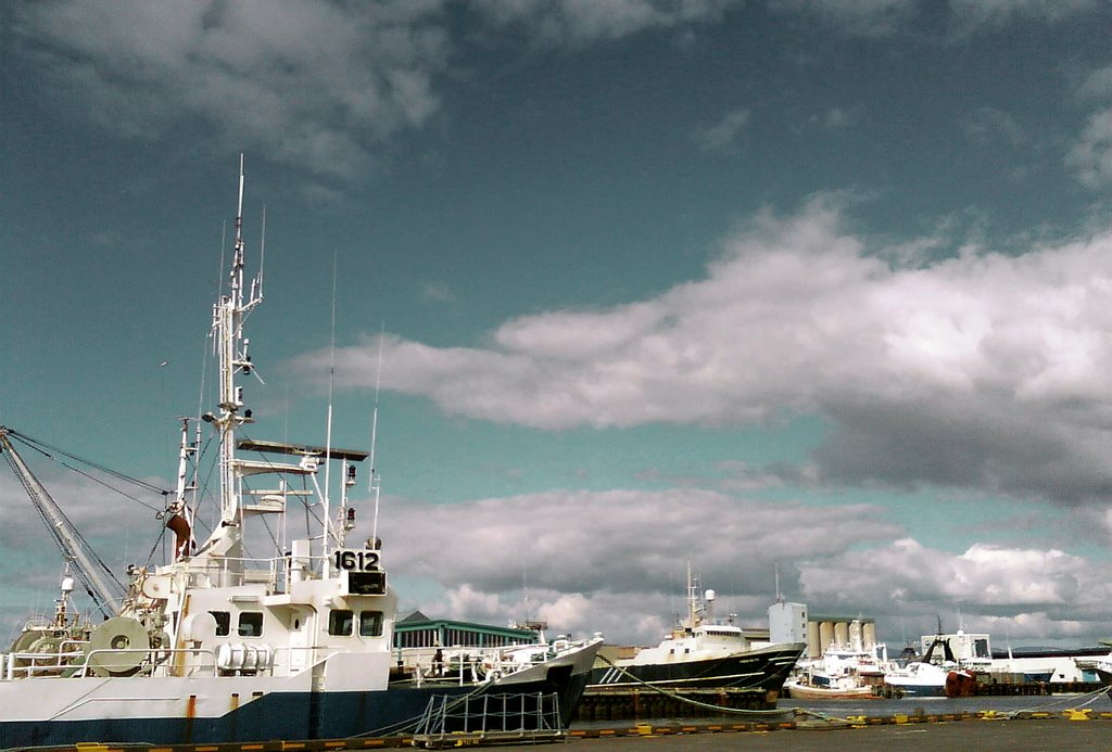 Reykjavik , Iceland, Harbour - 3 by kamenmish