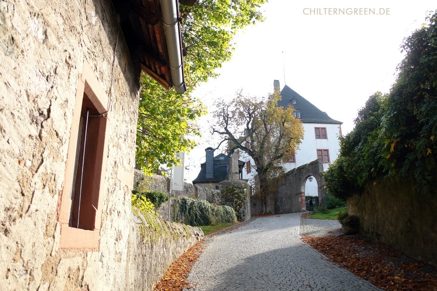 Aufgang zum Schloss Lichtenberg by Michael Schäfer