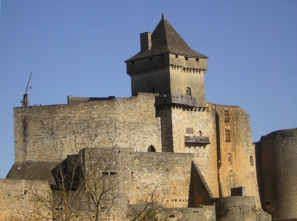 Castelnaud-la-Chapelle - Le château1 by Maryse Trezy