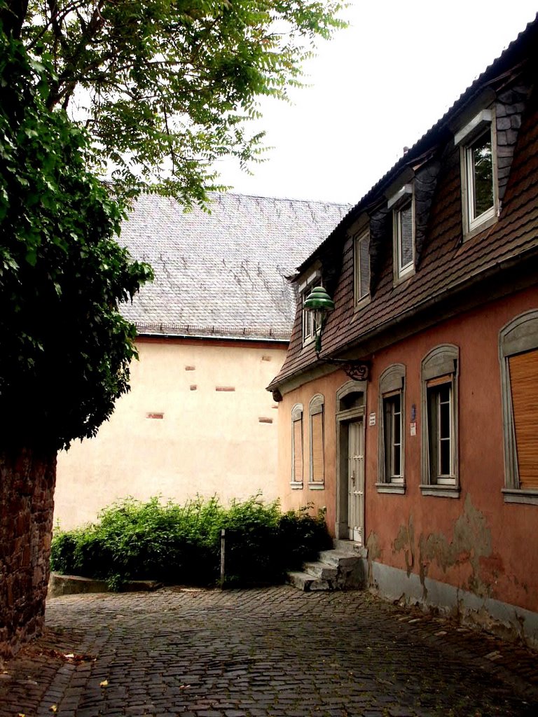 Eine Gasse von vielen by Peter W. Ehl