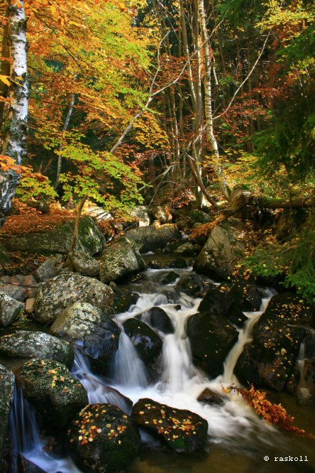 Vladayska Reka River In Autumn by pavelpronin.com