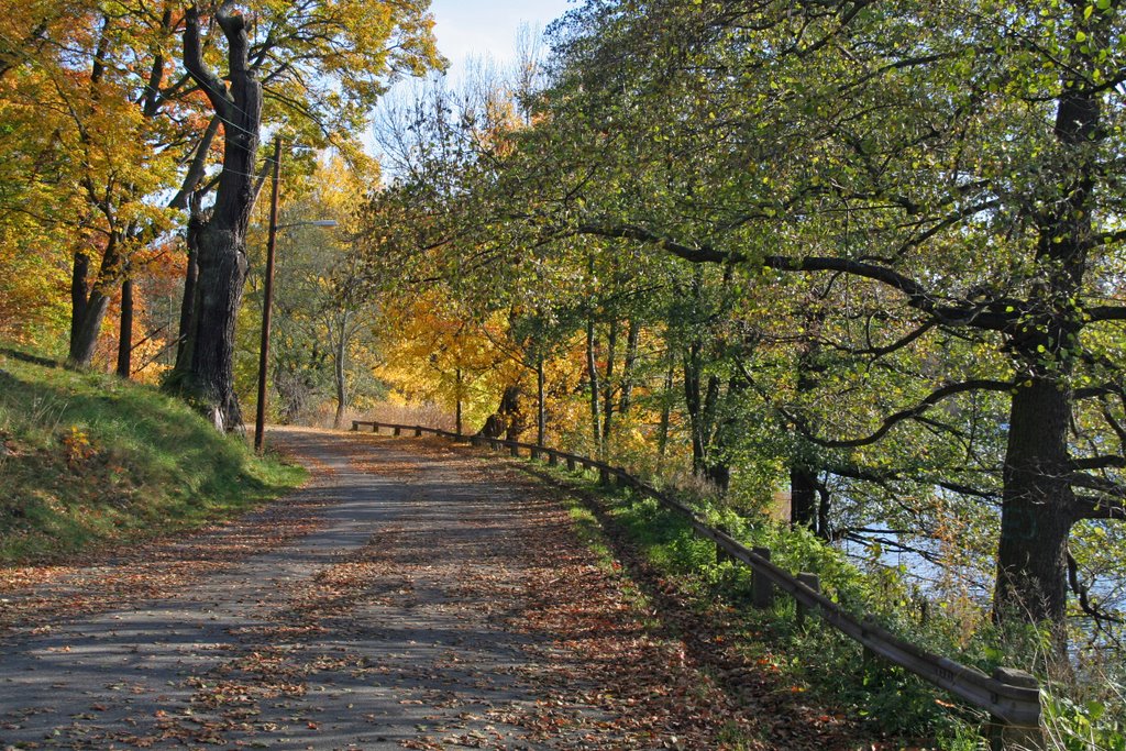 Stora Skuggan, autumn road by Colbright