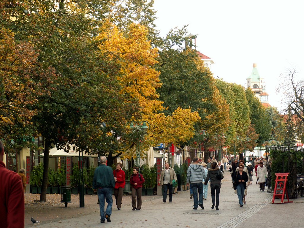 Sopot ul. Bohaterów Monte Cassino by Ewa Niwczyk