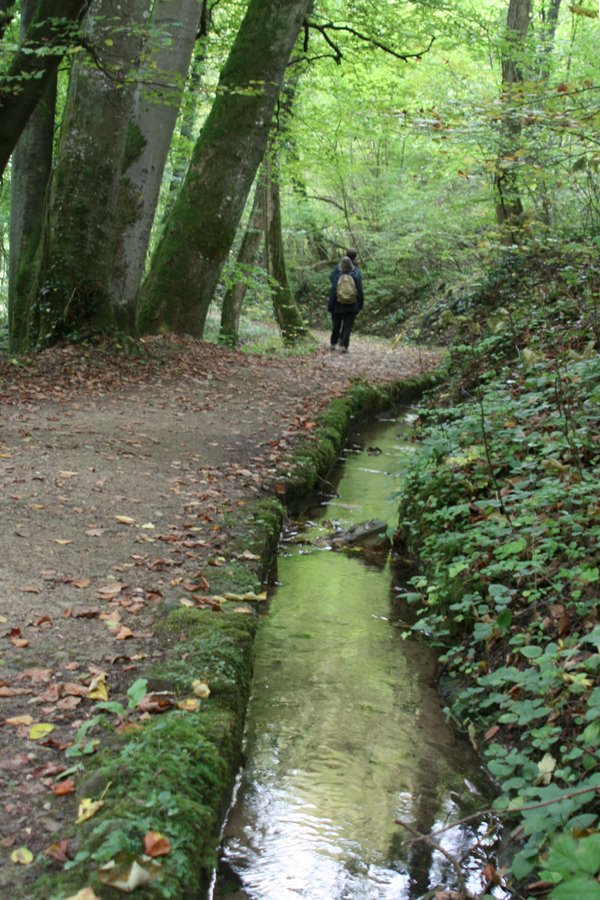 Echternach, sentier by j-clementine