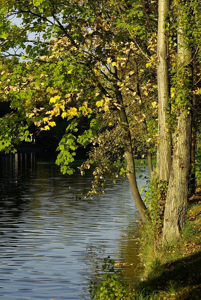 New pond by didiervero