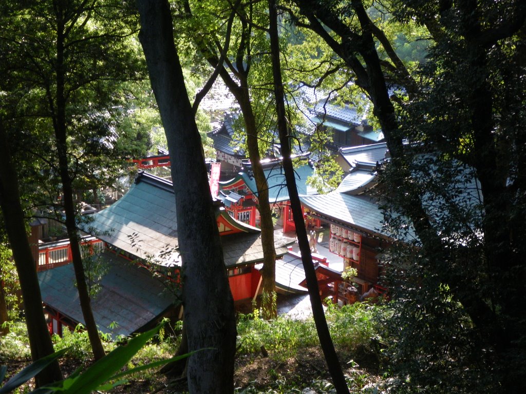 Suwa Jinja Shrine　諏訪神社 by murakami.cc