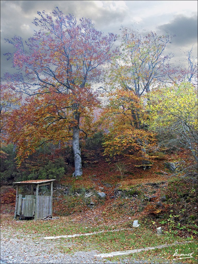 081020-19 SIERRA DEL MONCAYO EN OTOÑO by Víctor Manuel Mamblo…