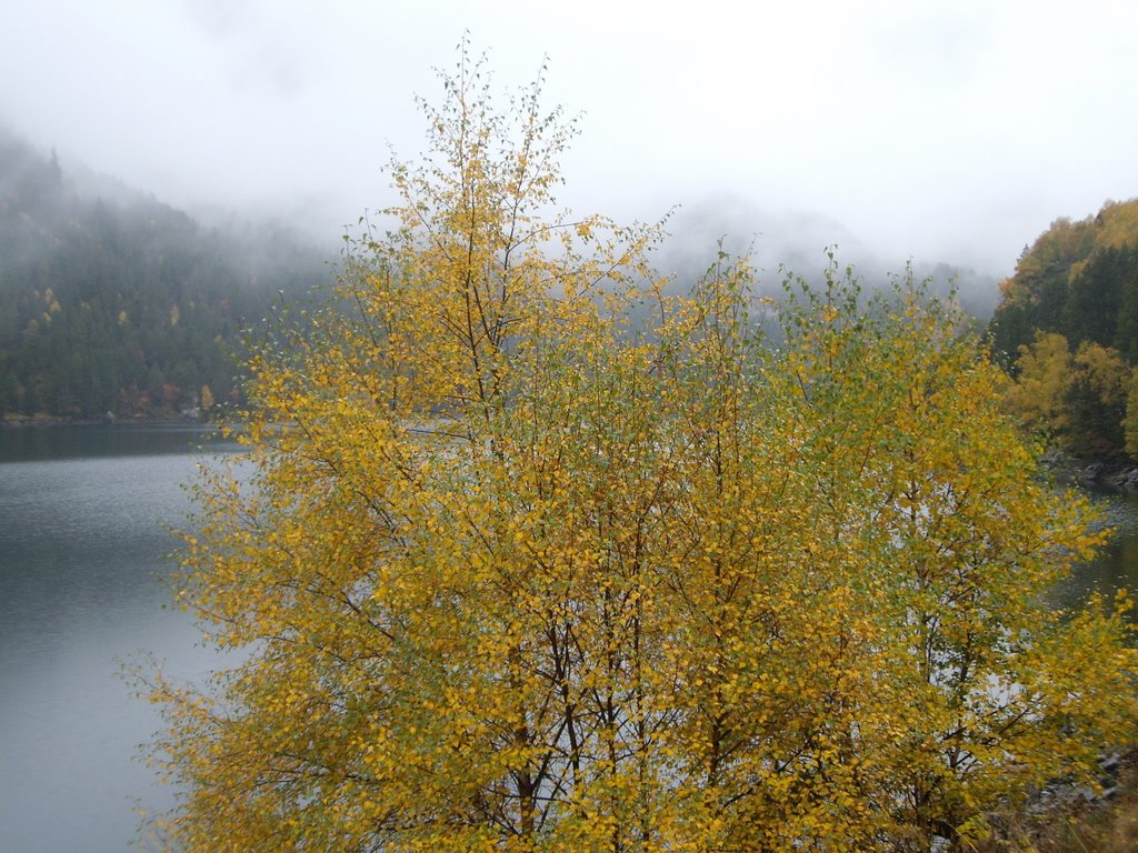 ESTANY SANT MAURICI by Carlos López (CarDeG…