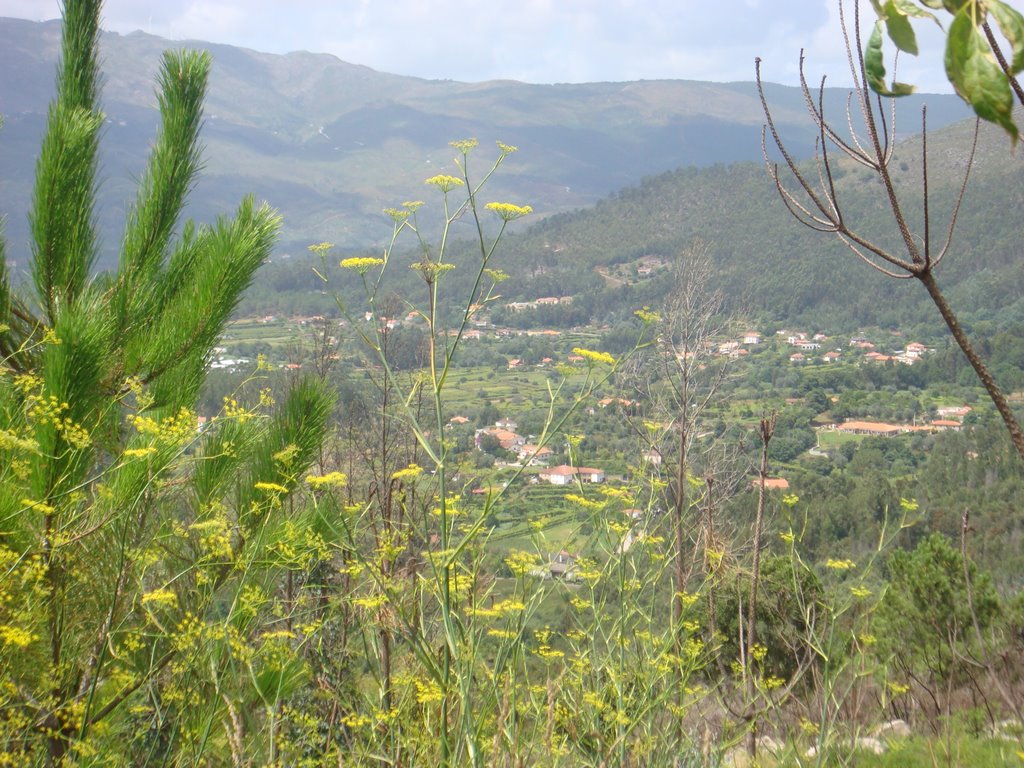 Vista do monte de Santo Ovidio by Jose Pinto