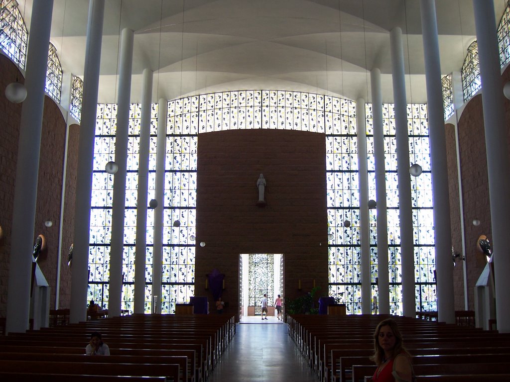 Vitrais da Catedral by Fernando Suelotto