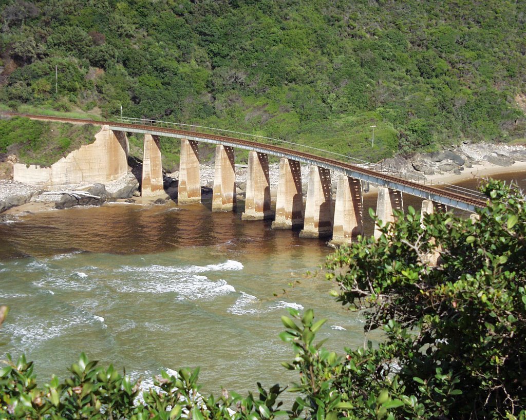 Railroad Bridge, near Wilderness, ZA by Nattfari