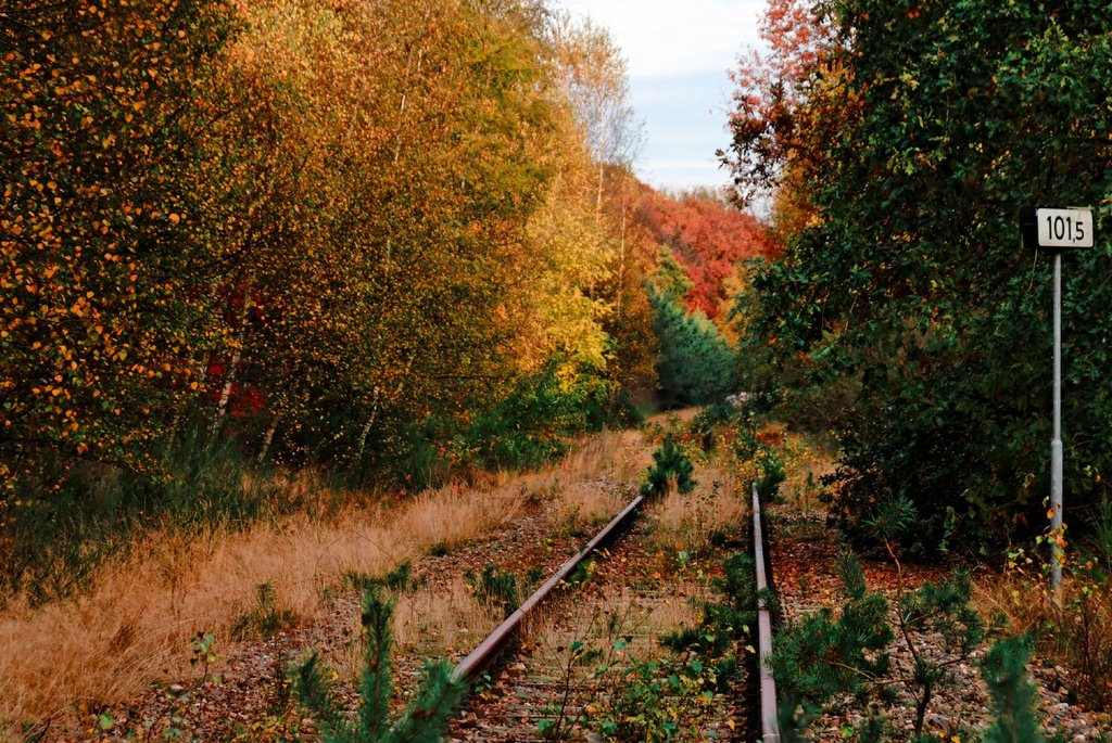 Der "Eiserne Rhein" bei KM 101,5 im Herbst 2008 by Guenni (wallsound)