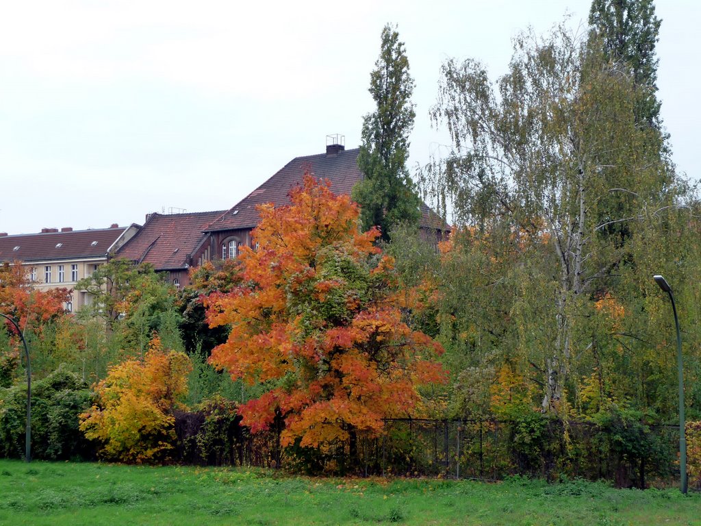 Herbst in Schöneberg by volwi