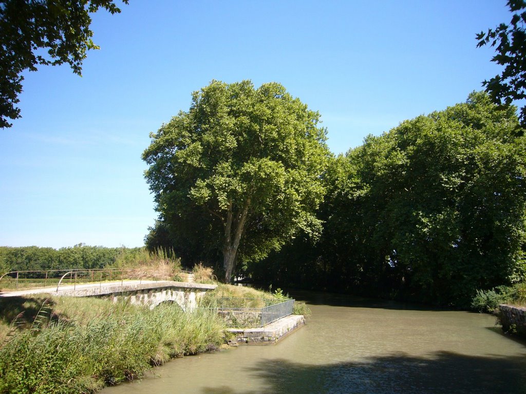 Canal du Midi (rs) by booh