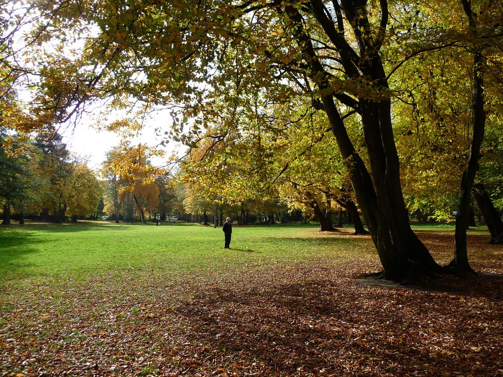 Herbst im Schlosspark Pankow by volwi