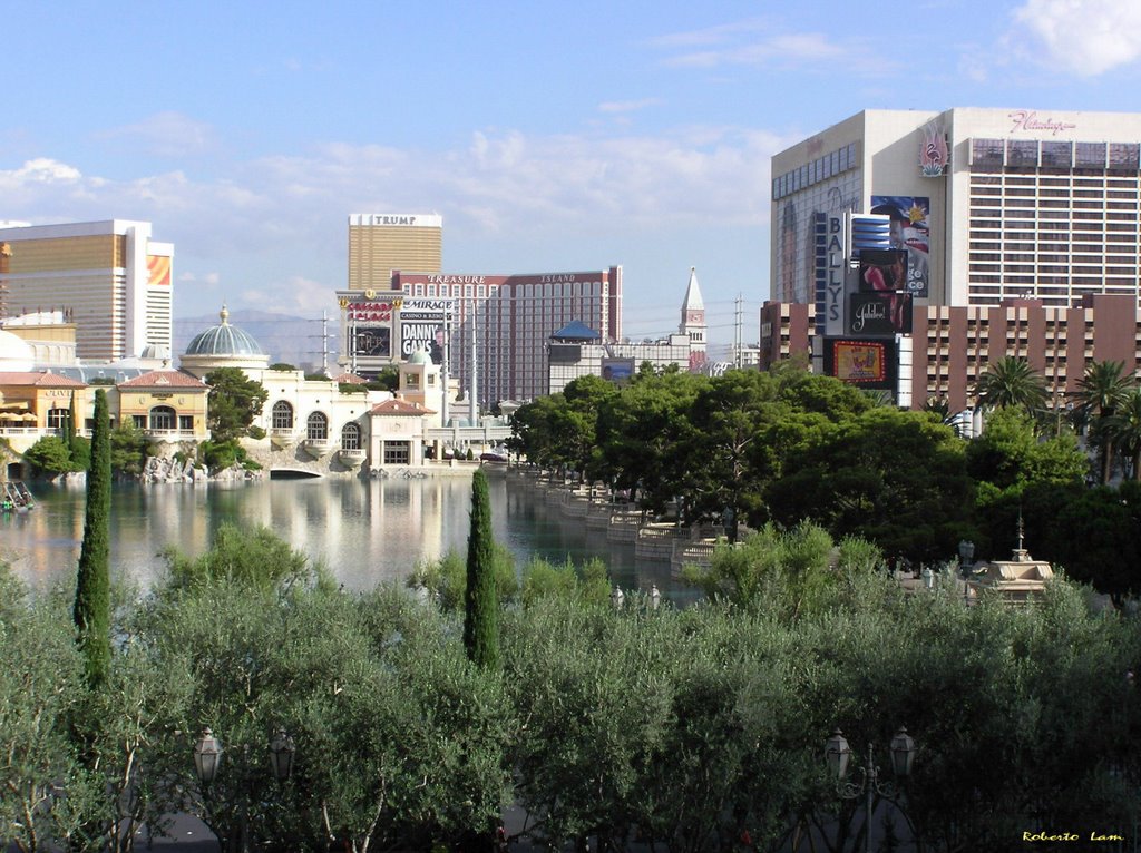 Bellagio Fountain View. by Robert Lam