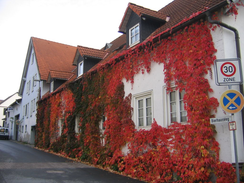 Der Hof - im Herbstschmuck by 600m