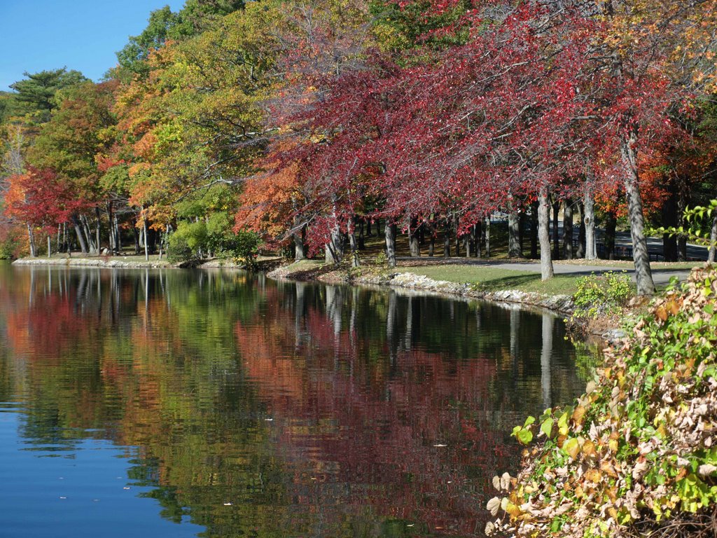 Bear Mountain, NY by excerzayas