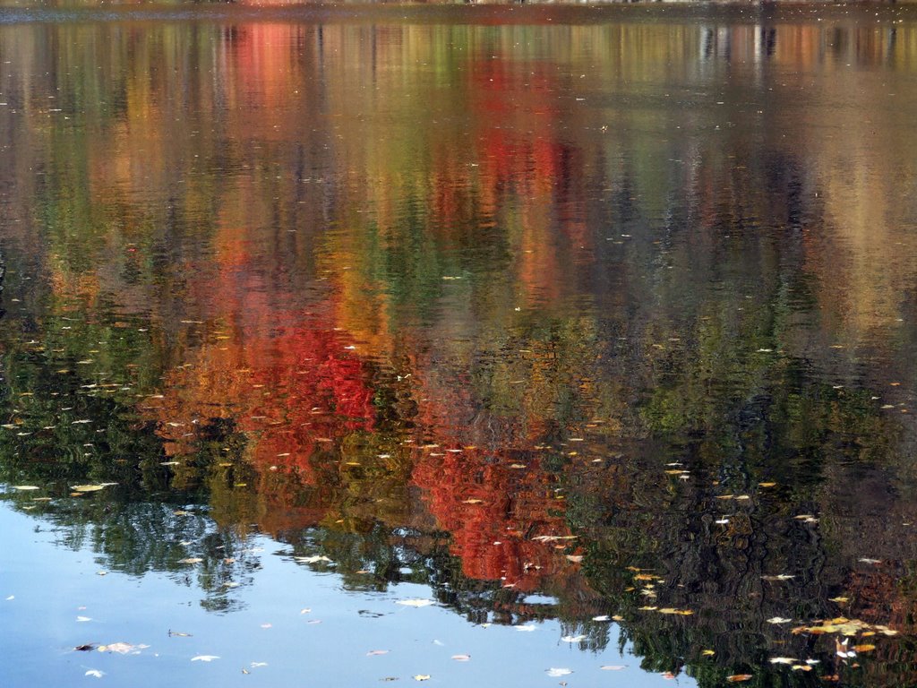 Grand River Reflection by chrisf66