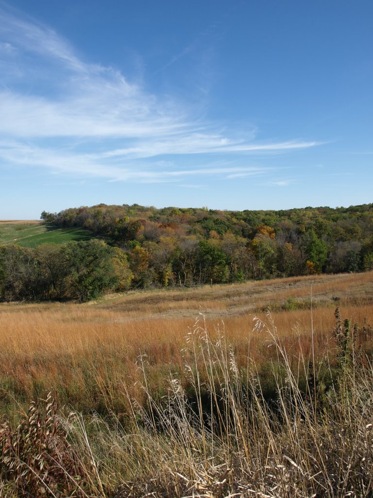 Fall Colors by Blake Mayberry