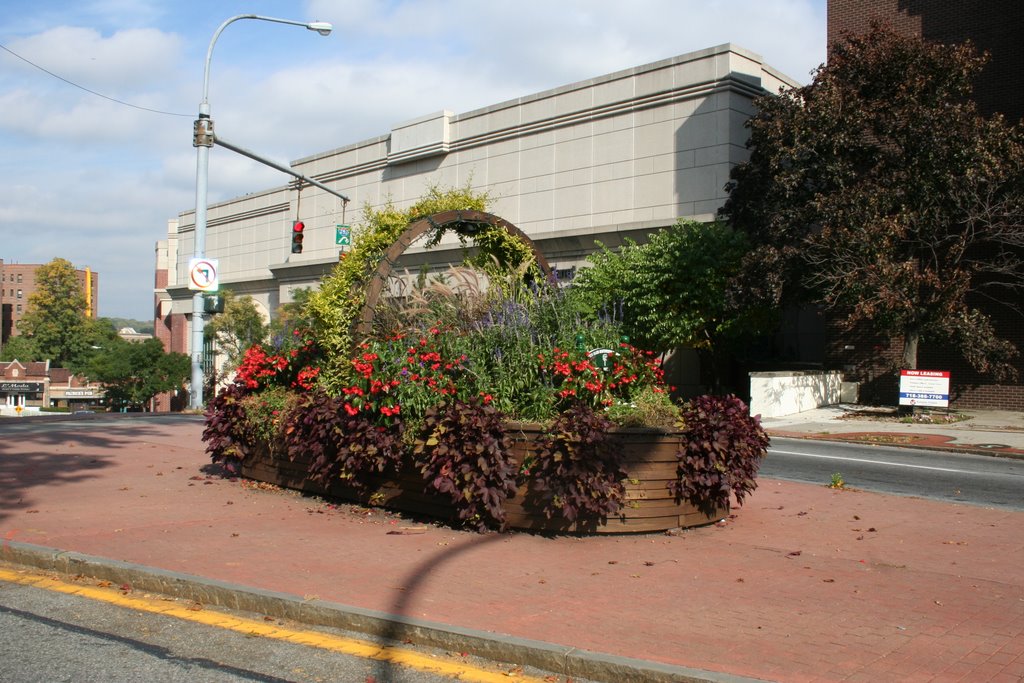 The Really Big Basket of Flowers, White Plains, NY by JMReidy