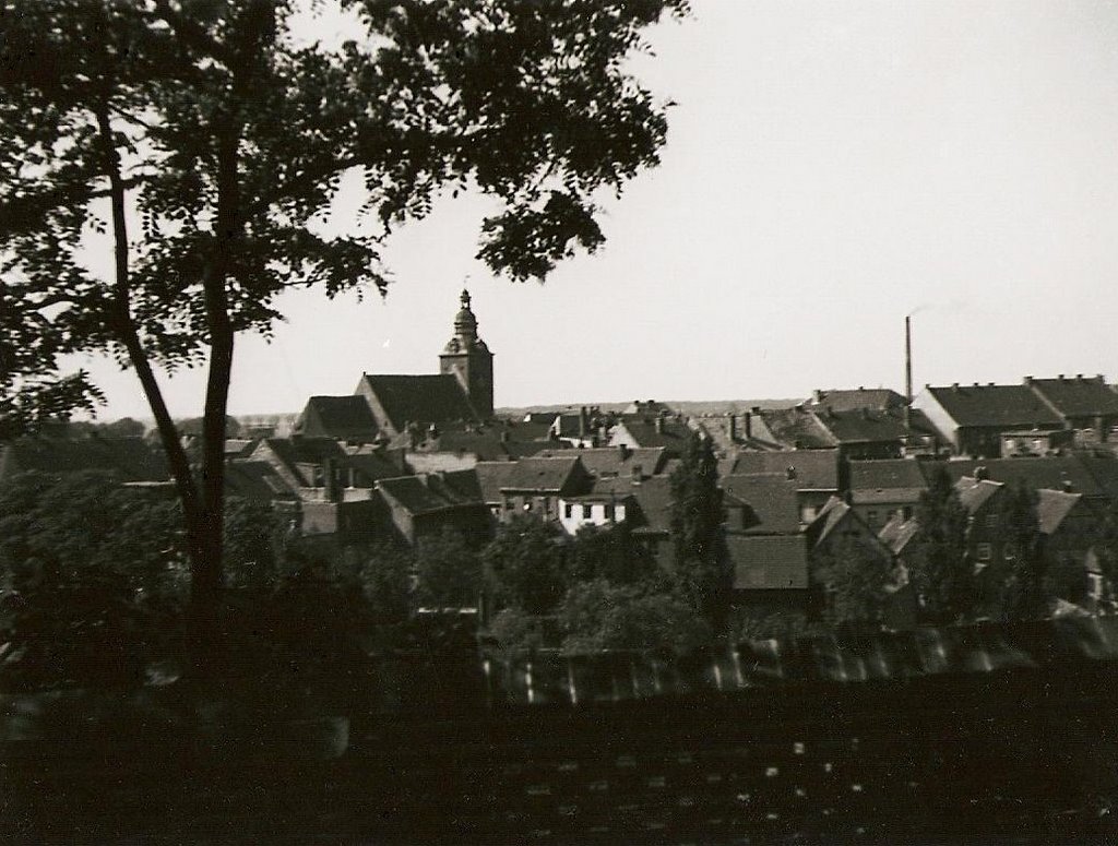 Havelberg (Sachsen-Anhalt früher Brandenburg): 1938 - einst - Blick von der Domtreppe auf die Stadtinsel by dudeyberlin