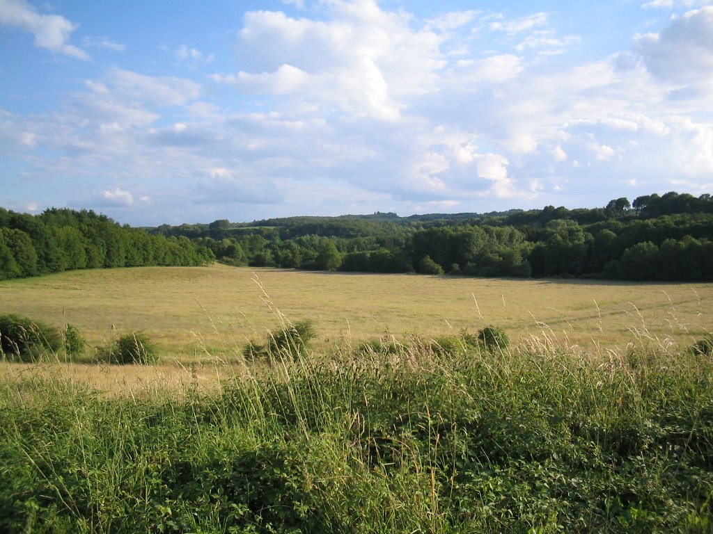 Pleine alluvial de la Lesse à Houyet by pdelbru