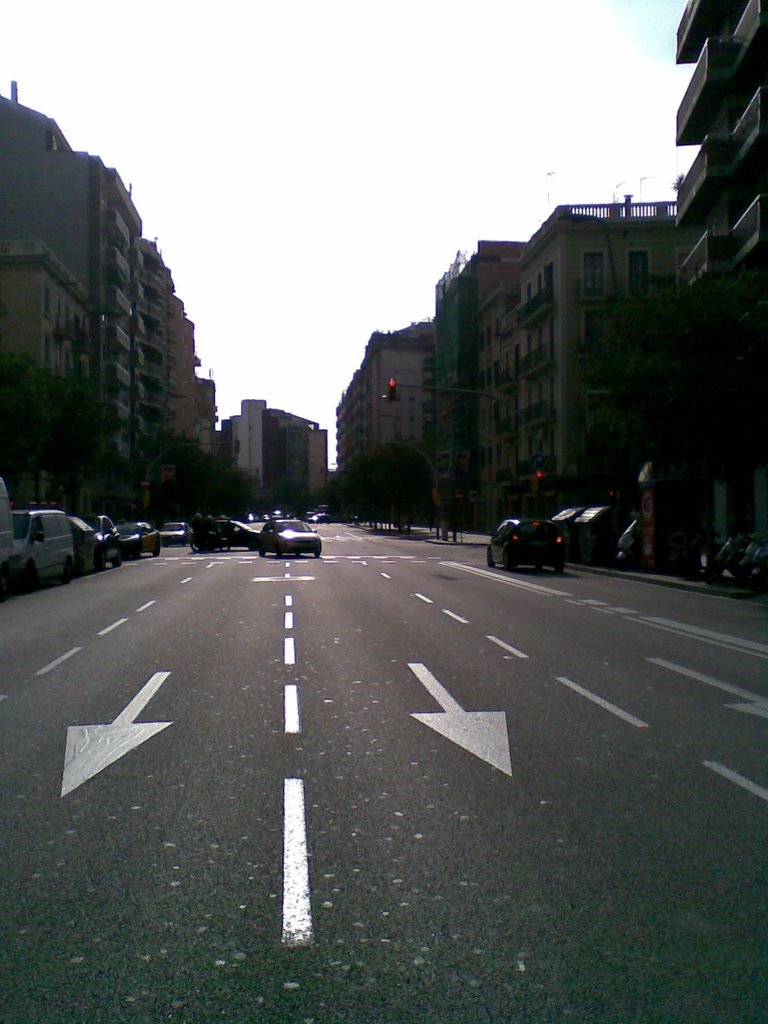 Av. madrid by Rodolfo Green